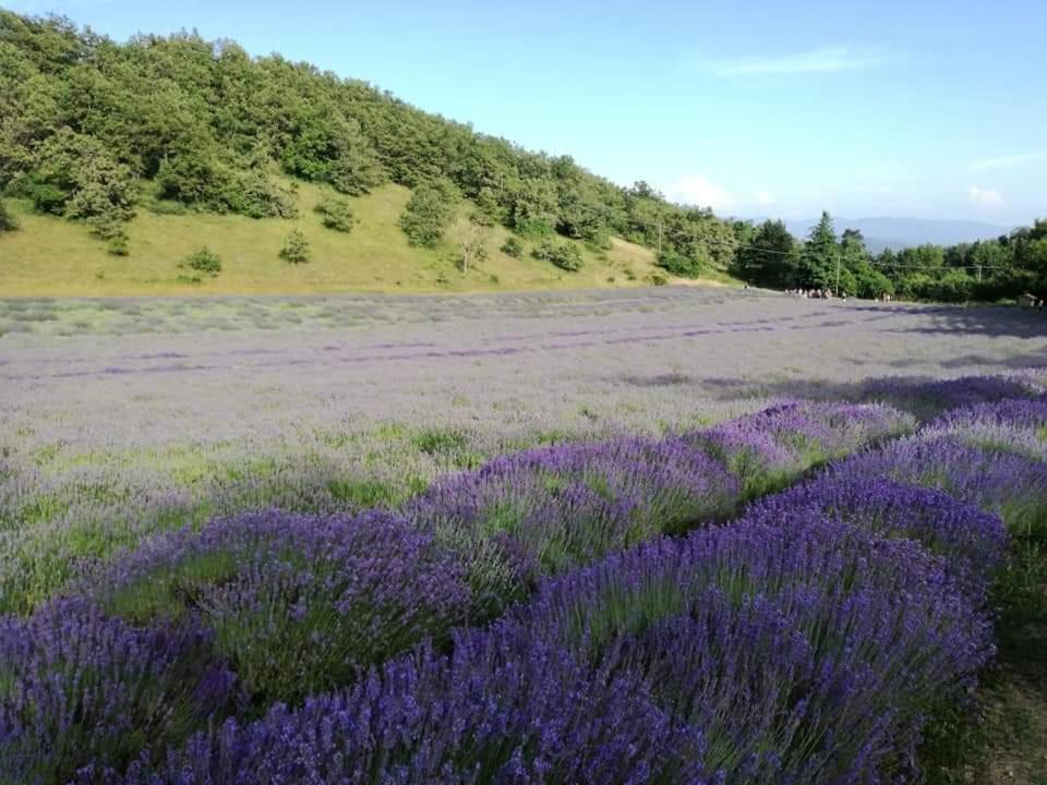 B&B I Girasoli Monte San Pietro Dış mekan fotoğraf